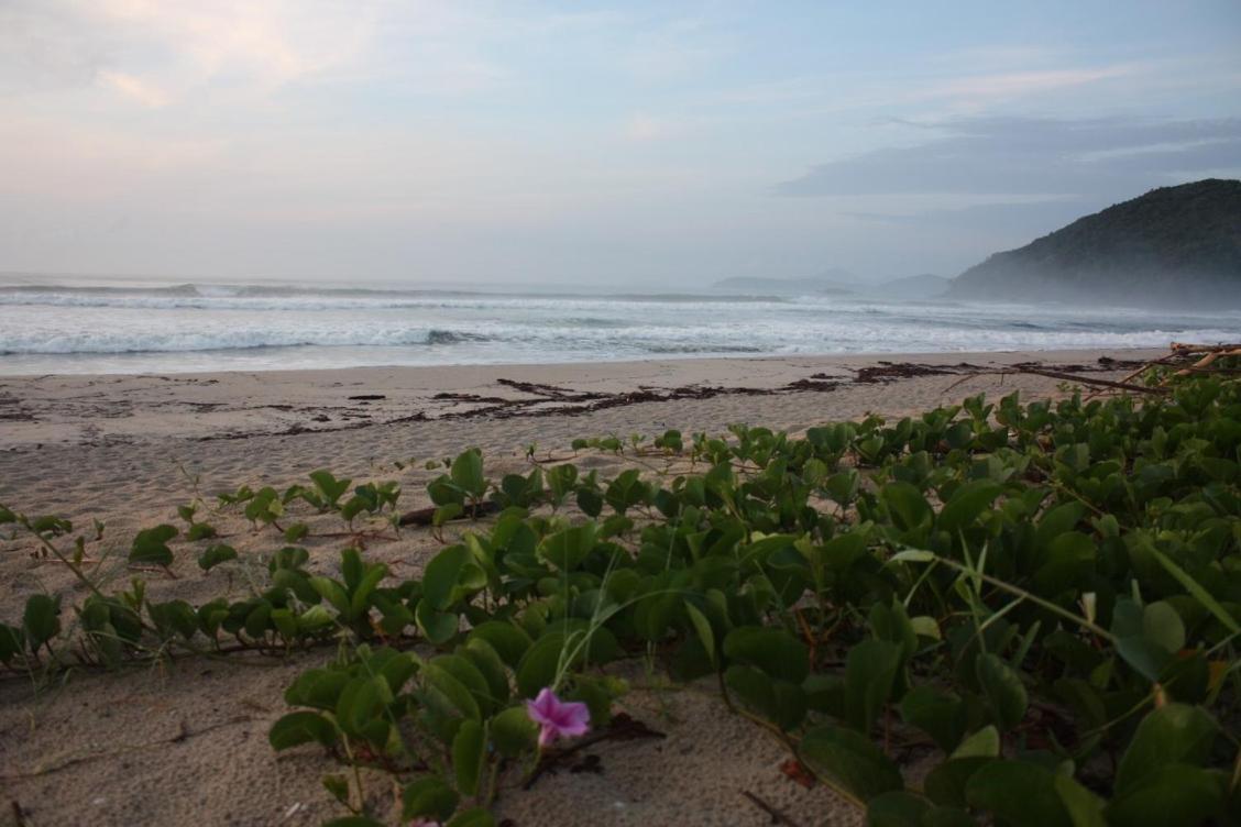 Maloquinha Itamambuca. A Mais Charmosa De Ubatuba. Exteriör bild